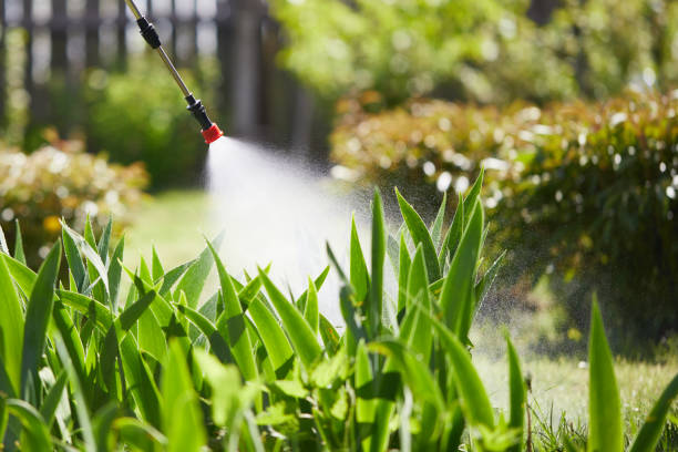 Tamper-Resistant Bait Stations for Rodents in Kings Beach