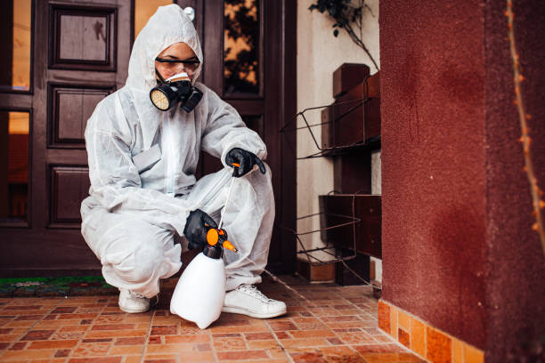 Attic and Crawl Space Rodent Treatment in Kings Beach